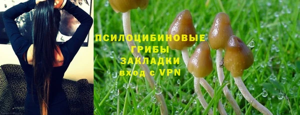 соль ск Балабаново